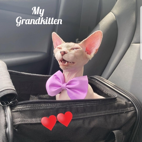 Please like new game #12 - Picture 6 of 10